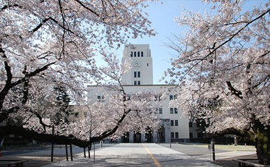 本館前の桜並木は、毎年春になると見事な景観を作り出します。卒業式、入学式の思い出に文字通り花を添えます。